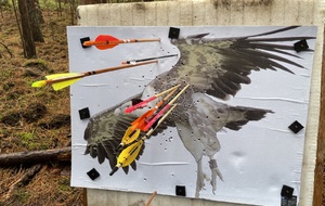 JOURNÉE INITIATION TIR DE PARCOURS