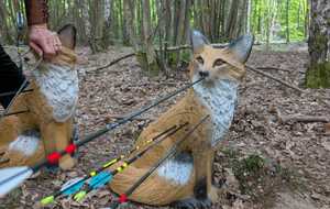 CONCOURS 3D A ROCHEFORT - 31 MAI