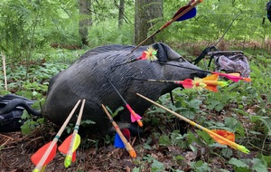 CONCOURS DÉBUTANT 3D A VIROFLAY