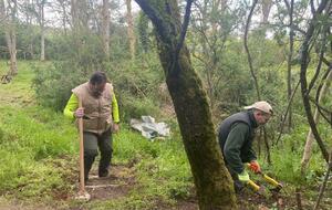 NETTOYAGE DU TERRAIN A VILLIERS