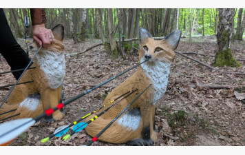 CONCOURS 3D A ROCHEFORT - 31 MAI