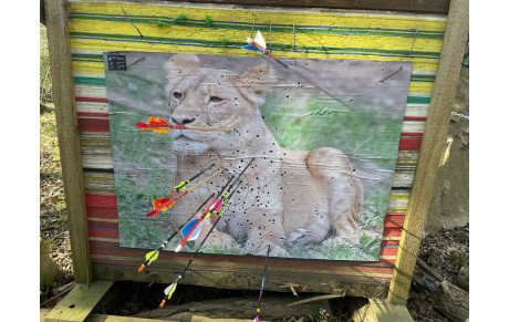 CONCOURS NATURE A DRAVEIL LES 08 ET 09 MARS