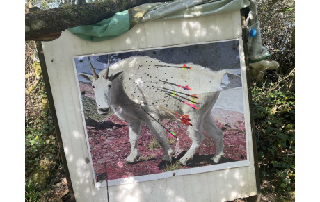 CONCOURS DE VILLEPREUX A VILLIERS LE 06 AVRIL