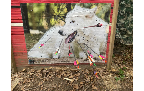 CONCOURS NATURE A DRAVEIL - 07 et 08 MARS