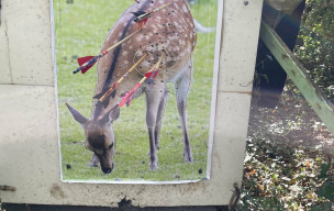 25_10_11 ET 12_CONCOURS NATURE VILLIERS