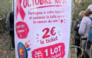26_10_10 et 11_CONCOURS NATURE OCTOBRE ROSE