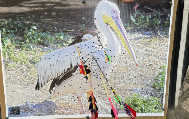 25_10_11 ET 12_CONCOURS NATURE VILLIERS